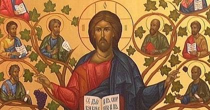 Неделя пред Рождеством Христовым, Святых Отец.