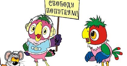 Свободу попугаям!